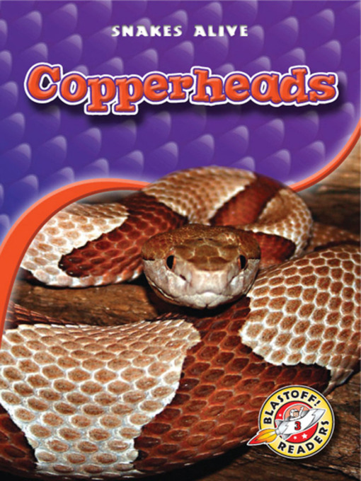 Title details for Copperheads by Colleen Sexton - Wait list